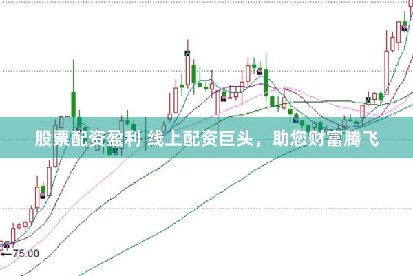 股票配资盈利 线上配资巨头，助您财富腾飞