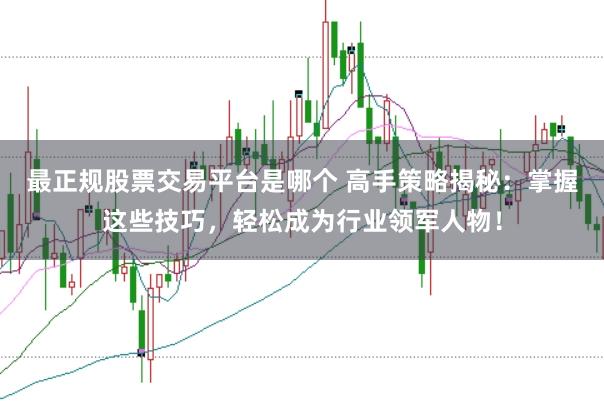 最正规股票交易平台是哪个 高手策略揭秘：掌握这些技巧，轻松成为行业领军人物！