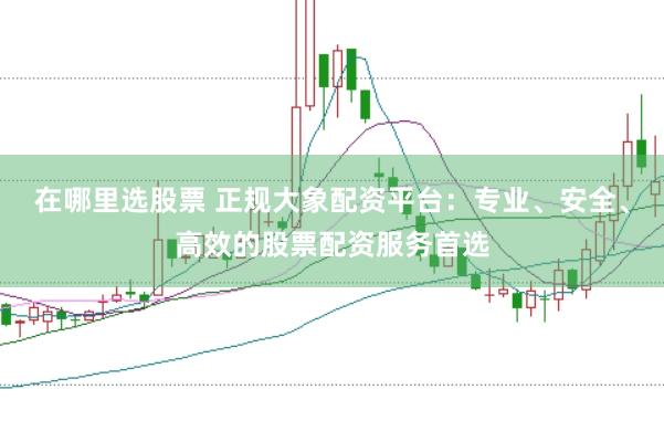 在哪里选股票 正规大象配资平台：专业、安全、高效的股票配资服务首选
