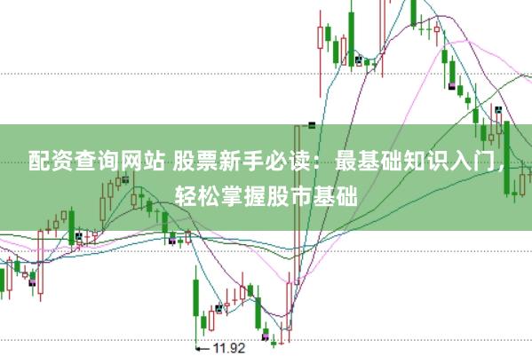 配资查询网站 股票新手必读：最基础知识入门，轻松掌握股市基础