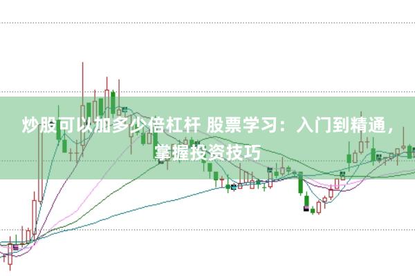 炒股可以加多少倍杠杆 股票学习：入门到精通，掌握投资技巧