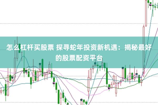 怎么杠杆买股票 探寻蛇年投资新机遇：揭秘最好的股票配资平台