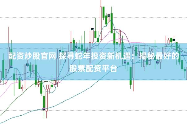 配资炒股官网 探寻蛇年投资新机遇：揭秘最好的股票配资平台