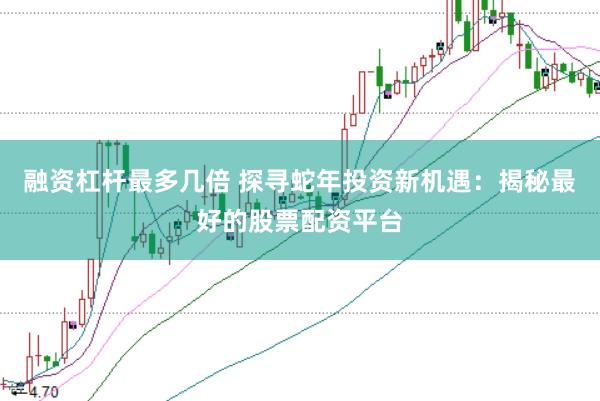 融资杠杆最多几倍 探寻蛇年投资新机遇：揭秘最好的股票配资平台
