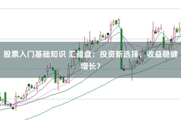 股票入门基础知识 汇盈盘：投资新选择，收益稳健增长？