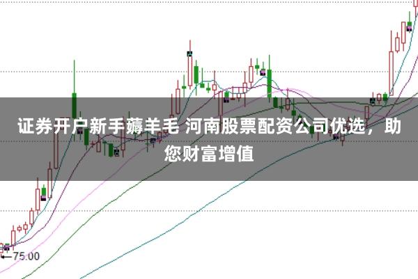 证券开户新手薅羊毛 河南股票配资公司优选，助您财富增值