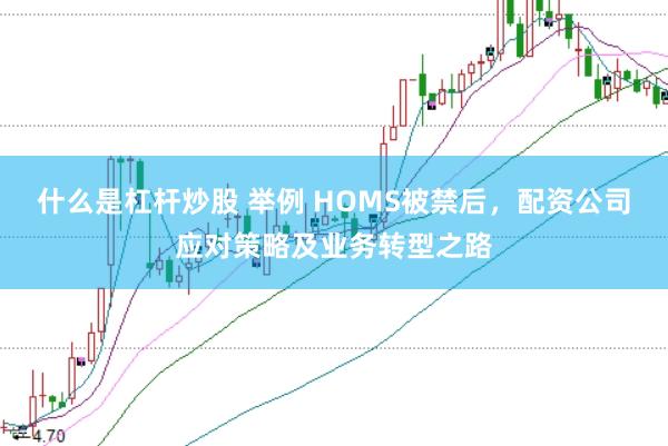 什么是杠杆炒股 举例 HOMS被禁后，配资公司应对策略及业务转型之路
