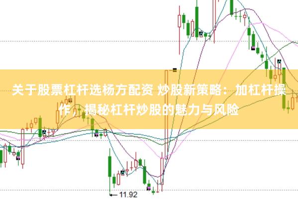 关于股票杠杆选杨方配资 炒股新策略：加杠杆操作，揭秘杠杆炒股的魅力与风险