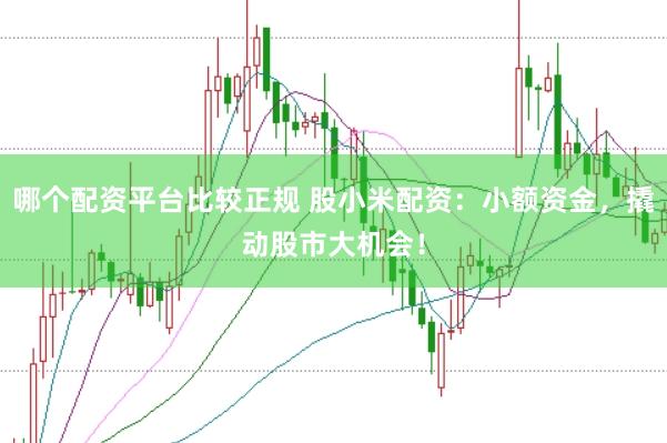 哪个配资平台比较正规 股小米配资：小额资金，撬动股市大机会！