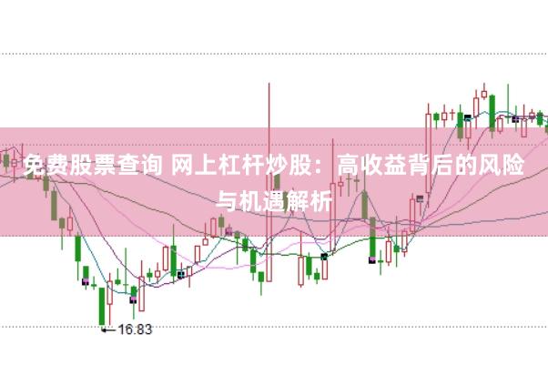 免费股票查询 网上杠杆炒股：高收益背后的风险与机遇解析