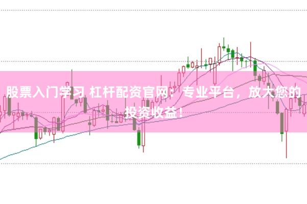 股票入门学习 杠杆配资官网：专业平台，放大您的投资收益！
