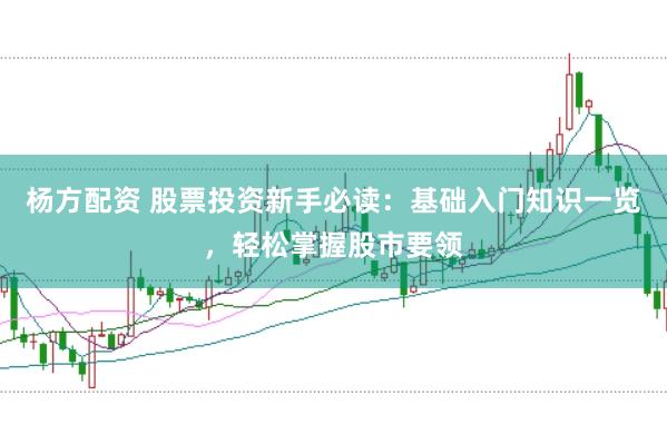 杨方配资 股票投资新手必读：基础入门知识一览，轻松掌握股市要领