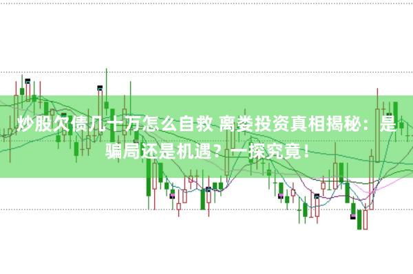 炒股欠债几十万怎么自救 离娄投资真相揭秘：是骗局还是机遇？一探究竟！