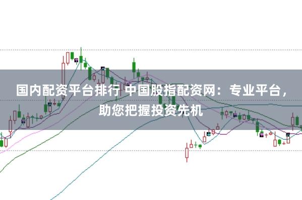国内配资平台排行 中国股指配资网：专业平台，助您把握投资先机