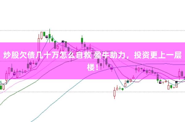 炒股欠债几十万怎么自救 盈牛助力，投资更上一层楼！