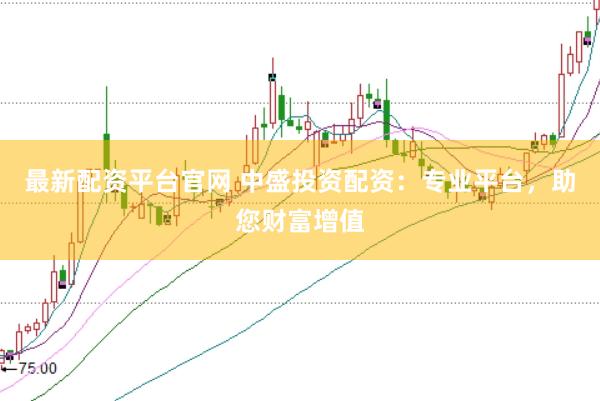最新配资平台官网 中盛投资配资：专业平台，助您财富增值