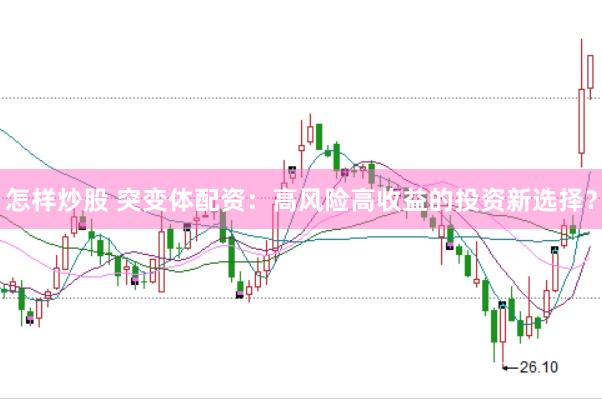 怎样炒股 突变体配资：高风险高收益的投资新选择？