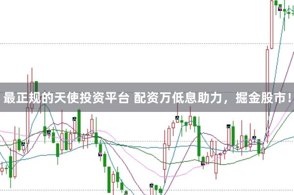 最正规的天使投资平台 配资万低息助力，掘金股市！