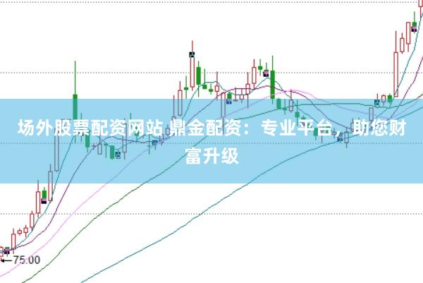 场外股票配资网站 鼎金配资：专业平台，助您财富升级