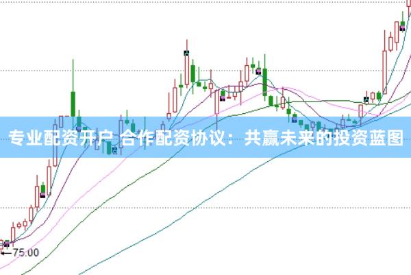 专业配资开户 合作配资协议：共赢未来的投资蓝图