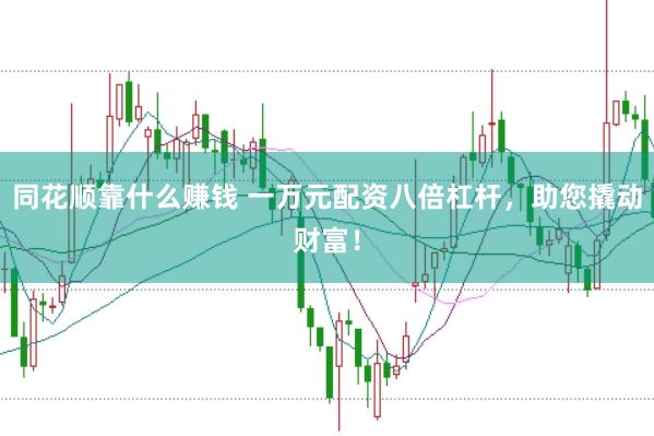 同花顺靠什么赚钱 一万元配资八倍杠杆，助您撬动财富！