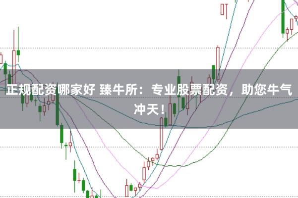 正规配资哪家好 臻牛所：专业股票配资，助您牛气冲天！
