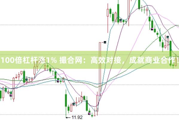 100倍杠杆涨1% 撮合网：高效对接，成就商业合作！