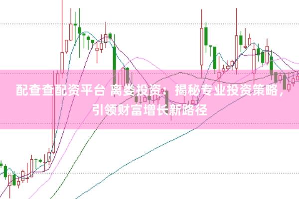 配查查配资平台 离娄投资：揭秘专业投资策略，引领财富增长新路径