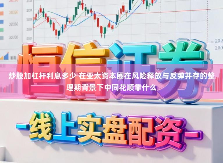 炒股加杠杆利息多少 在亚太资本圈在风险释放与反弹并存的整理期背景下中同花顺靠什么