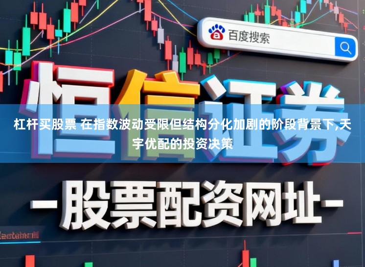 杠杆买股票 在指数波动受限但结构分化加剧的阶段背景下,天宇优配的投资决策