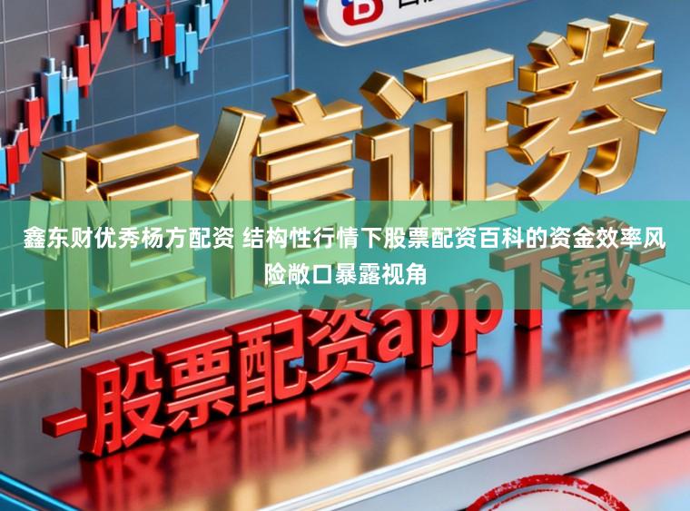 鑫东财优秀杨方配资 结构性行情下股票配资百科的资金效率风险敞口暴露视角